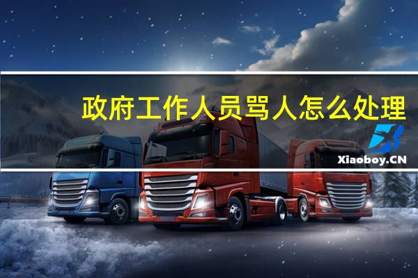 政府工作人员骂人怎么处理