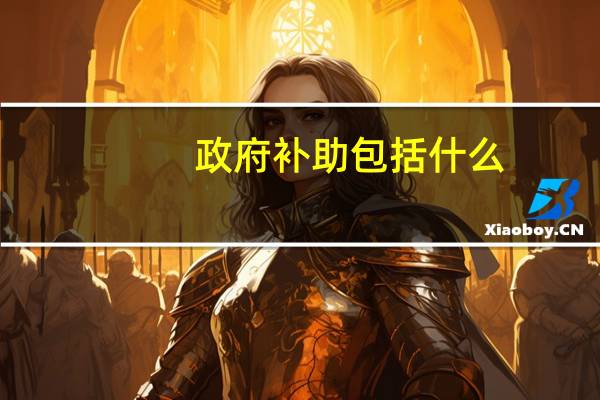 政府补助包括什么