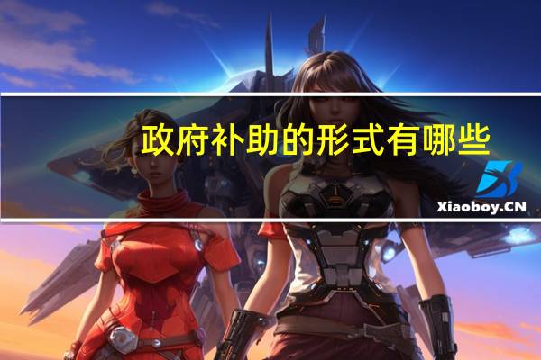 政府补助的形式有哪些