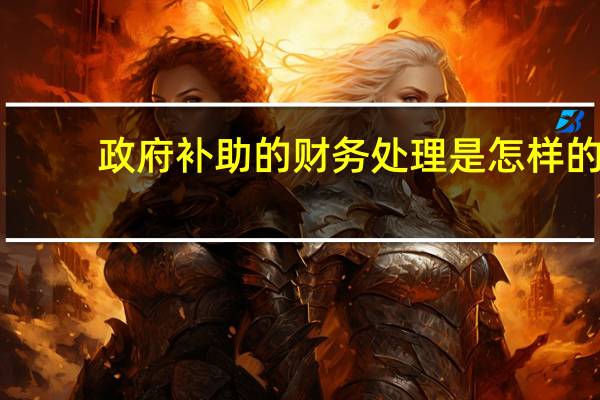 政府补助的财务处理是怎样的