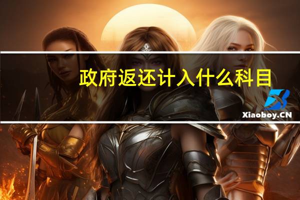 政府返还计入什么科目