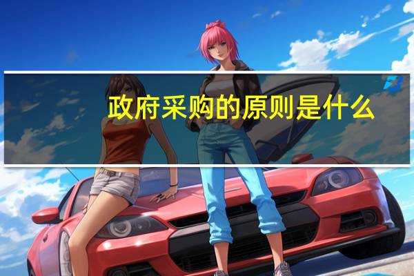 政府采购的原则是什么