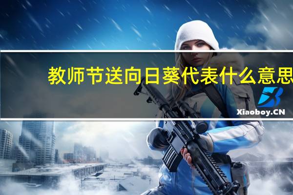 教师节送向日葵代表什么意思