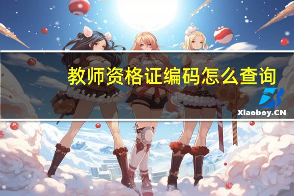 教师资格证编码怎么查询