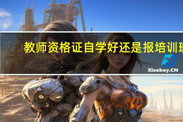 教师资格证自学好还是报培训班
