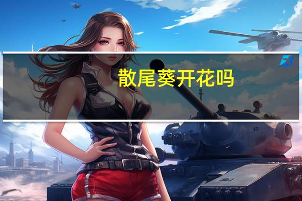 散尾葵开花吗