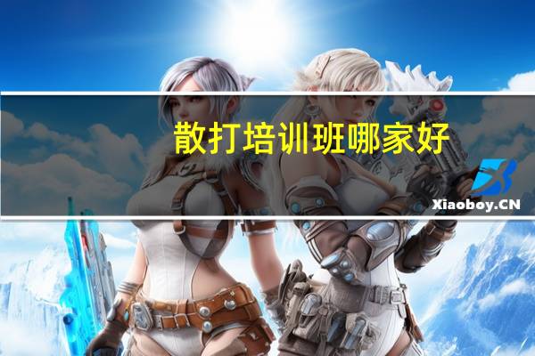 散打培训班哪家好