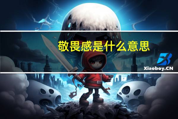 敬畏感是什么意思