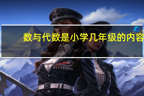 数与代数是小学几年级的内容