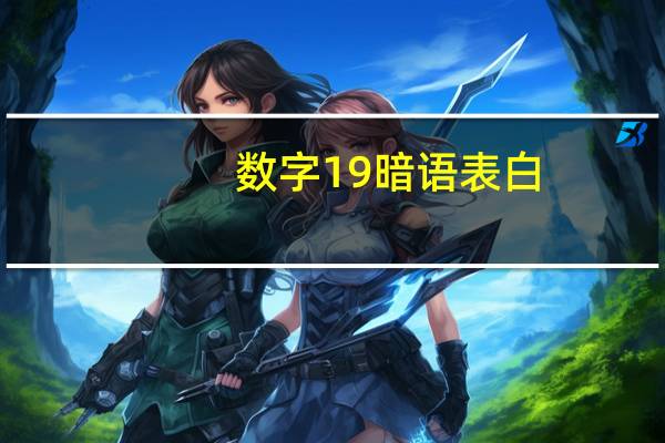 数字19暗语表白