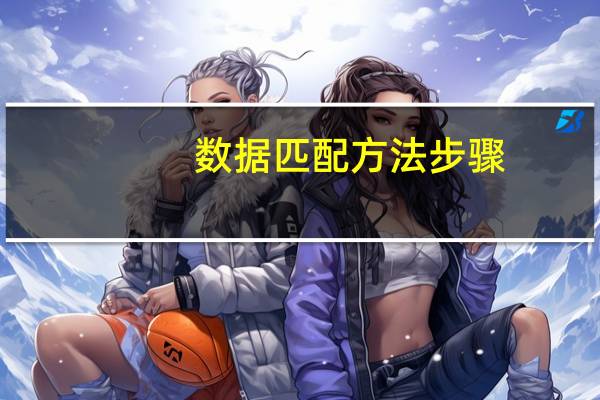 数据匹配方法步骤