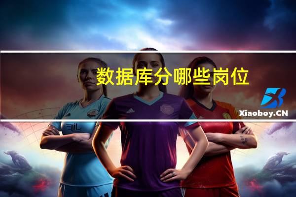 数据库分哪些岗位