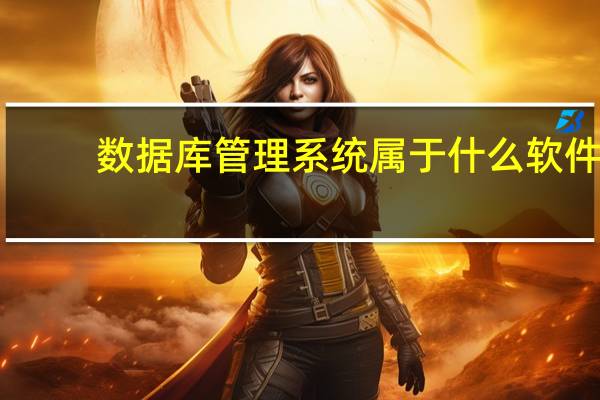 数据库管理系统属于什么软件