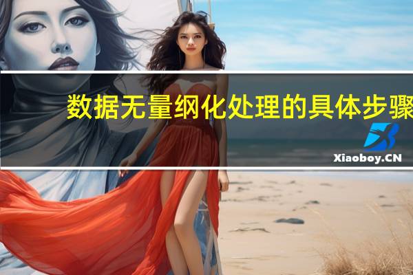 数据无量纲化处理的具体步骤