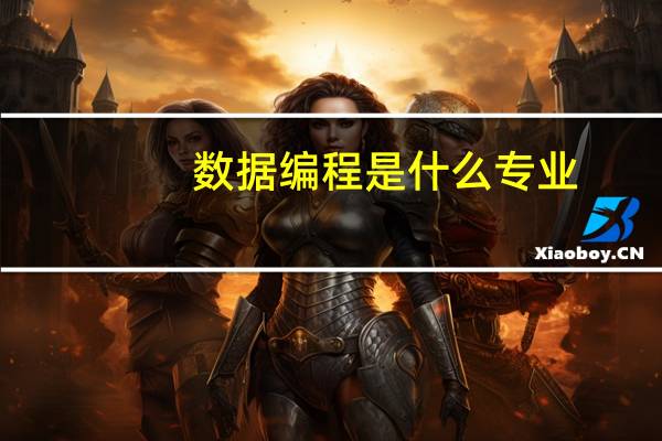 数据编程是什么专业