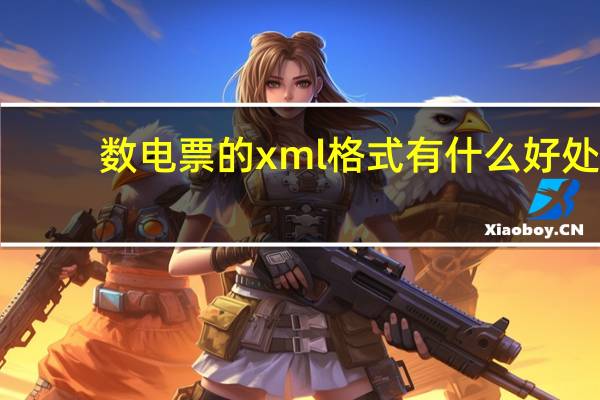 数电票的xml格式有什么好处