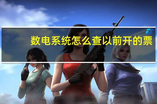 数电系统怎么查以前开的票