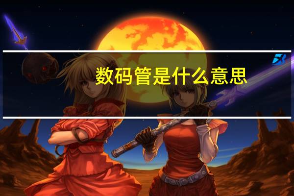 数码管是什么意思