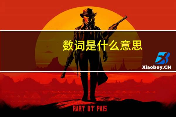 数词是什么意思