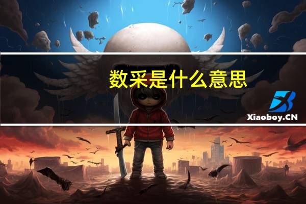 数采是什么意思