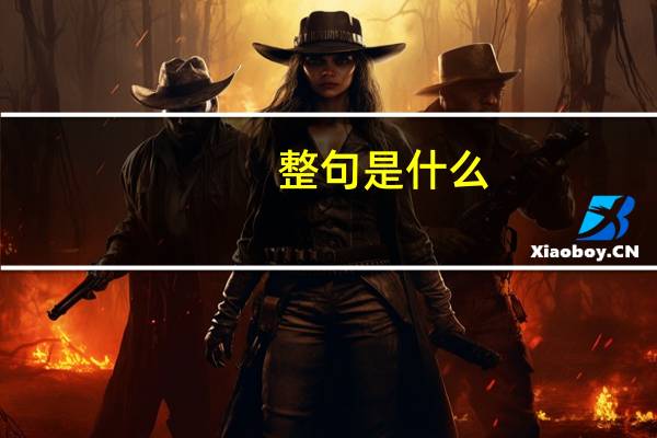 整句是什么