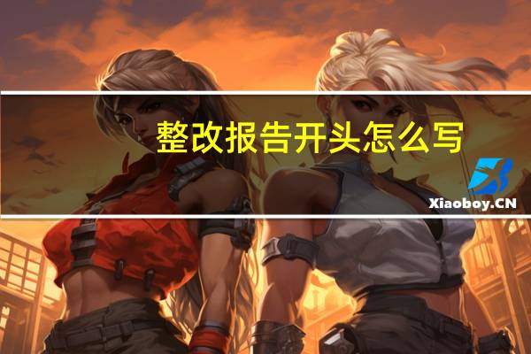 整改报告开头怎么写