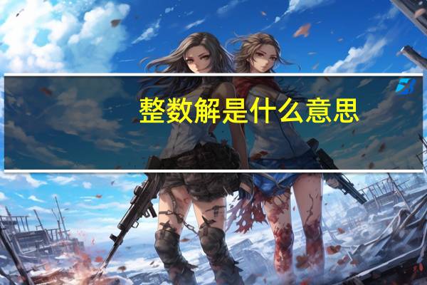 整数解是什么意思