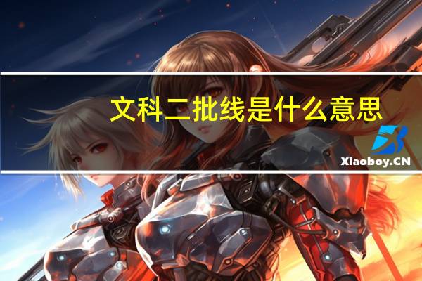 文科二批线是什么意思