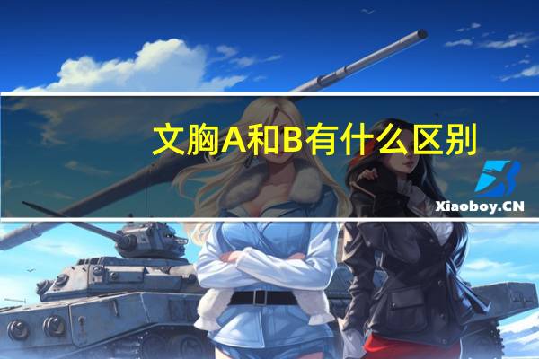 文胸 A和B有什么区别