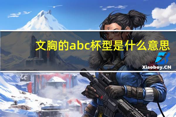 文胸的abc杯型是什么意思