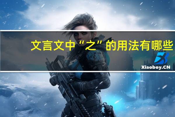 文言文中“之”的用法有哪些