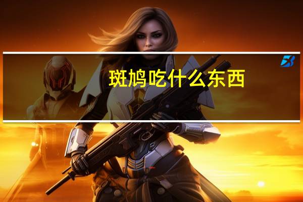 斑鸠吃什么东西