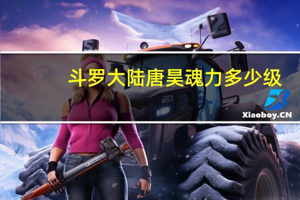 斗罗大陆唐昊魂力多少级