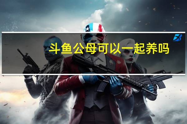 斗鱼公母可以一起养吗