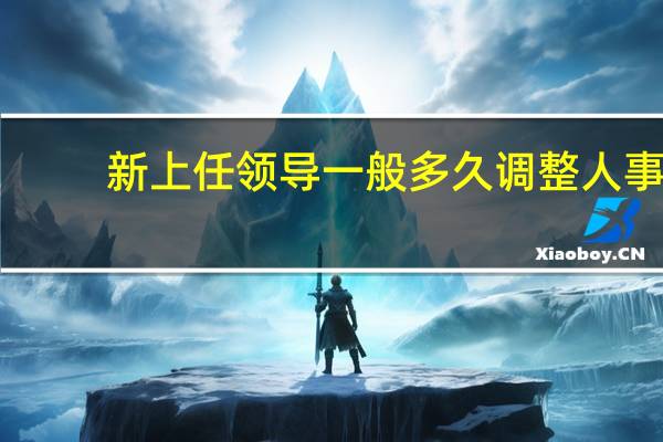 新上任领导一般多久调整人事