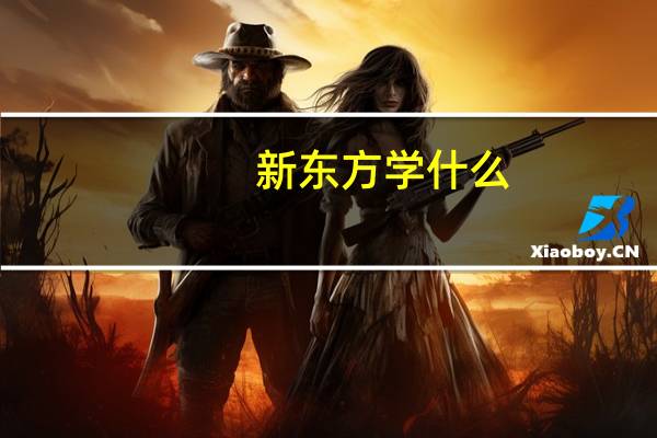 新东方学什么