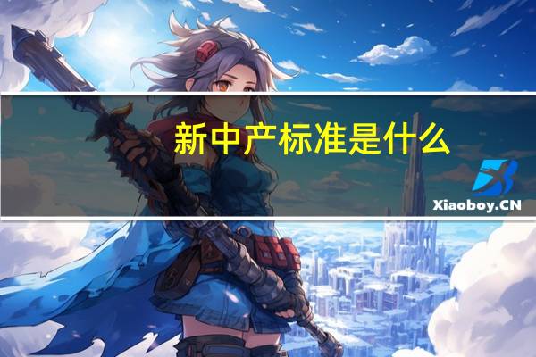 新中产标准是什么