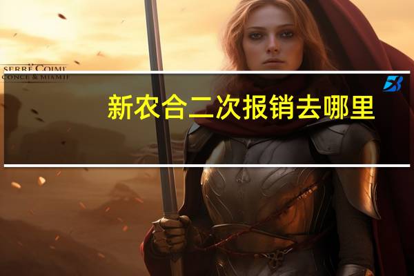 新农合二次报销去哪里