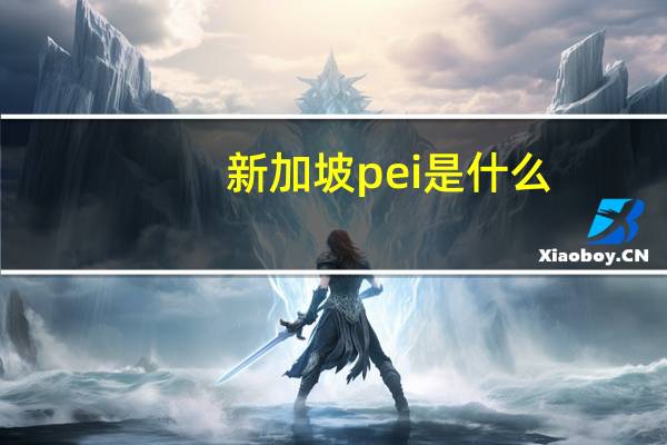 新加坡pei是什么