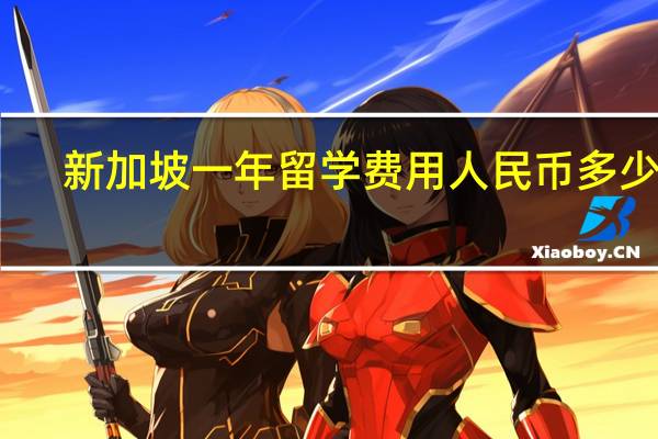 新加坡一年留学费用人民币多少钱