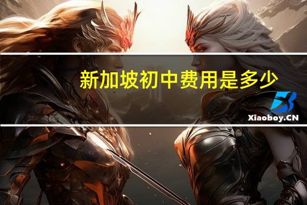 新加坡初中费用是多少