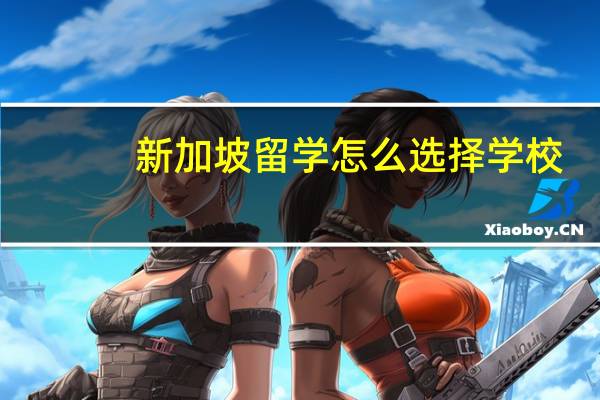 新加坡留学怎么选择学校
