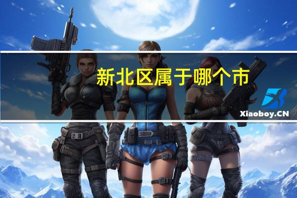 新北区属于哪个市