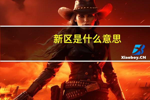 新区是什么意思