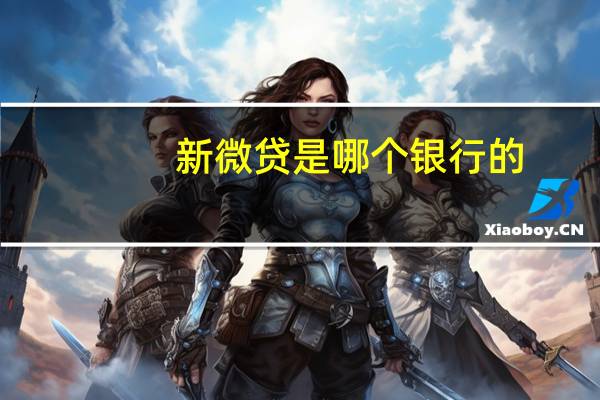 新微贷是哪个银行的