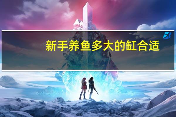 新手养鱼多大的缸合适