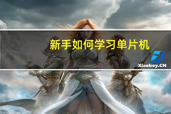 新手如何学习单片机