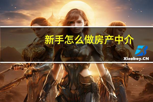 新手怎么做房产中介