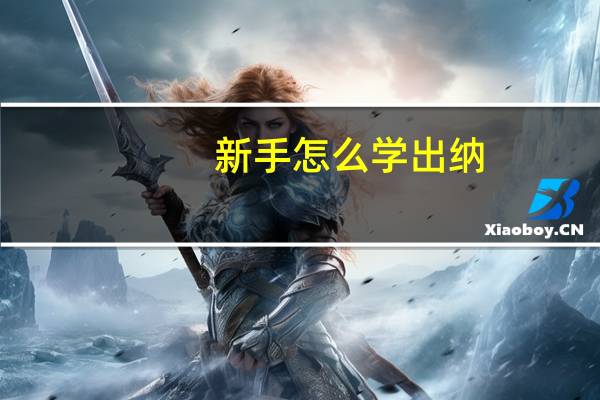 新手怎么学出纳