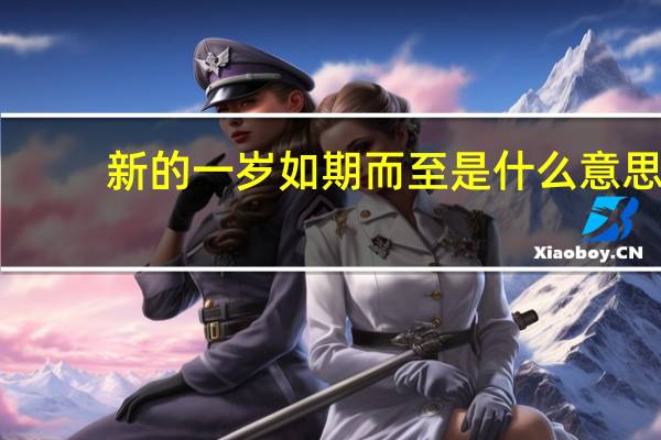 新的一岁如期而至是什么意思